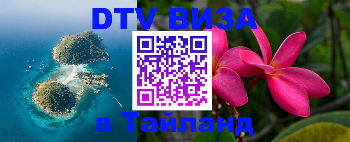 Оформление DTV визы под ключ: стоимость и тарифы, только загранпаспорт - Ташкент  03.10.2025 